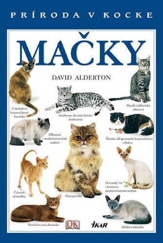 Macky