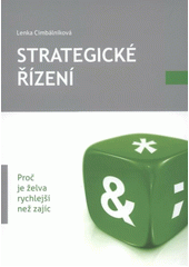 Strategické řízení CZ