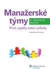 Manažerské týmy CZ