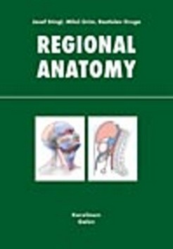 Regional anatomy EN