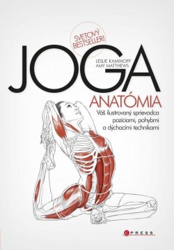 Joga - anatómia