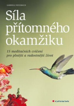 Síla přítomného okamžiku CZ