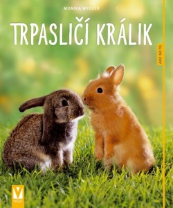 Trpasličí králik