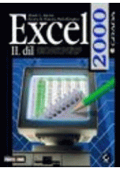 Excel 2000 - edice profesionál CZ