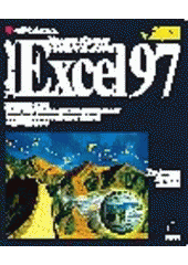 Excel 97 - edice profesionál CZ