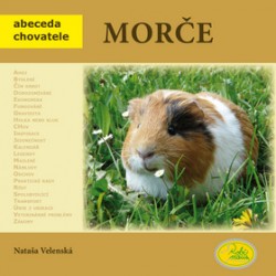 Morče CZ